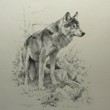 Схема вышивки «№2533777»