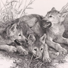 Схема вышивки «№2533781»