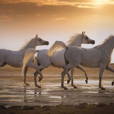 Схема вышивки «№2533792»