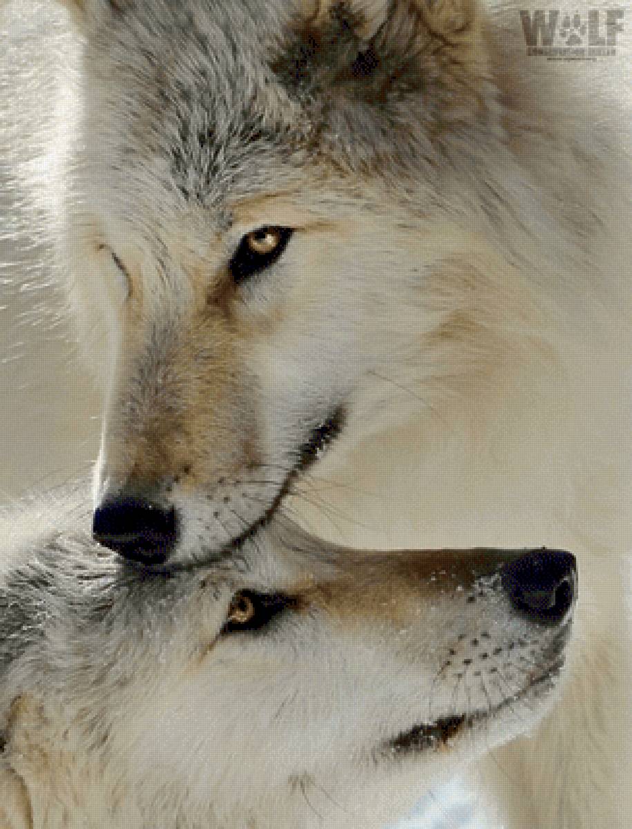 №2533824 - предпросмотр