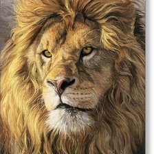 Схема вышивки «№2534329»