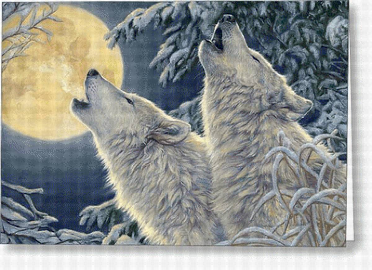 №2534331 - предпросмотр