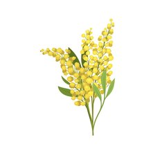 Схема вышивки «Веточка мимозы»