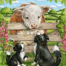 Схема вышивки «charla»