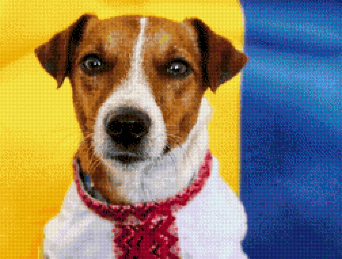 Патрон - украина, картина, животное - предпросмотр