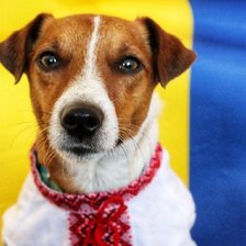 Схема вышивки «Патрон»