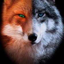 Схема вышивки «Лиса - волк»