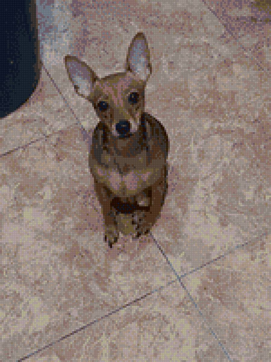 Марта - лена - предпросмотр