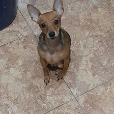 Схема вышивки «Марта»