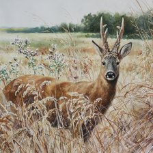 Схема вышивки «№2535107»