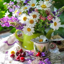 Схема вышивки «Ромашковый чай»