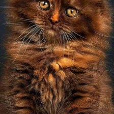 Схема вышивки «№2535337»