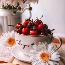 Схема вышивки «Черешня в чашке»