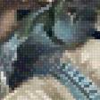 Предпросмотр схемы вышивки «№2535798»