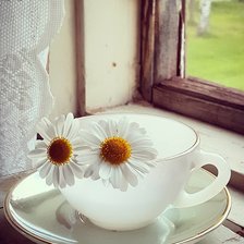 Схема вышивки «Кружка с ромашками»