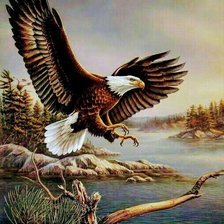 Схема вышивки «Орел»