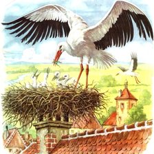 аист на крыше