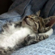 Схема вышивки «Котейка отдыхает»