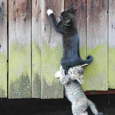 Схема вышивки «Друзья»