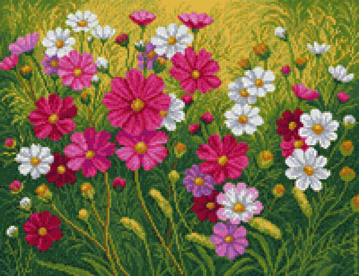 Радужное  поле - denecs - предпросмотр