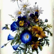 Схема вышивки «flori»