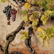 Схема вышивки «№2536603»