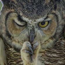 Схема вышивки «Слежу за тобой»