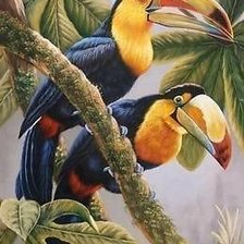 Схема вышивки «Птицы»