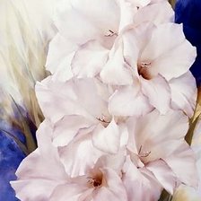 Схема вышивки «царь-гладиолус»