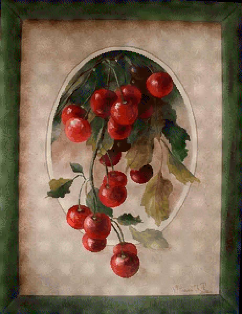 fructe - fructe - предпросмотр