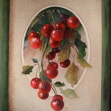 Схема вышивки «fructe»