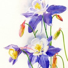 Схема вышивки «Цветы»