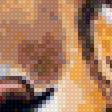 Предпросмотр схемы вышивки «Леопард» (№2537122)