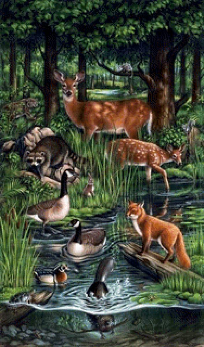 Лес - олень, природа, животные, лес - предпросмотр