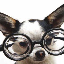 Схема вышивки «Ботан»