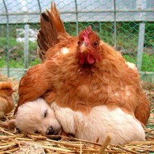 Схема вышивки «Мама с детками»