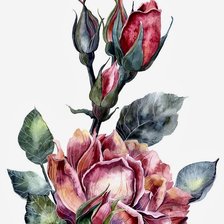 Схема вышивки «роза»