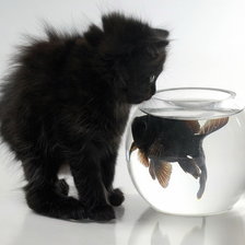 Схема вышивки «У каждого своя золотая рыбка»