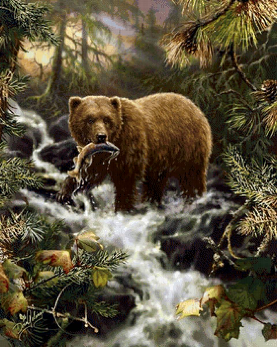 Рыбалка - природа, рыбалка, медведь - предпросмотр