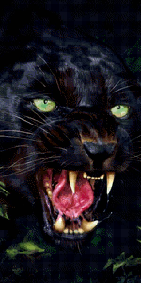 Пантера - пантера, хищник - предпросмотр