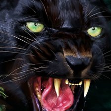 Схема вышивки «Пантера»