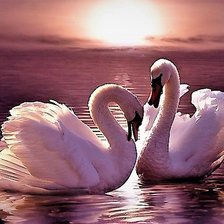 Схема вышивки «Два лебедя»