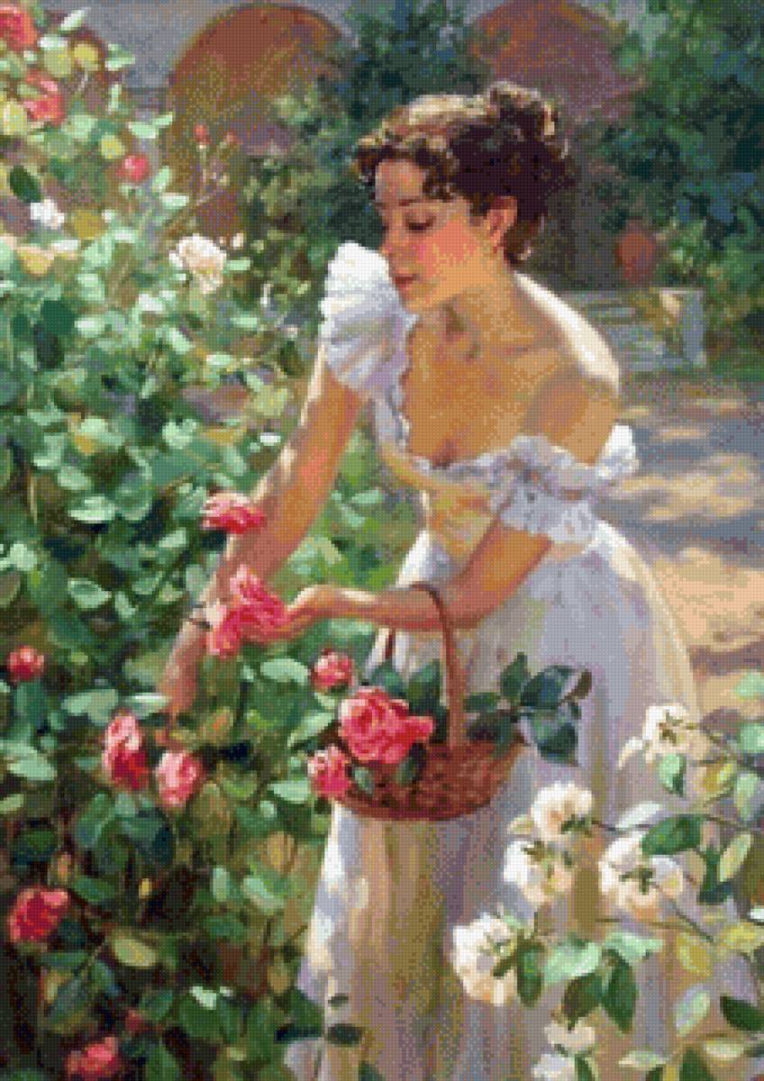 Сад - сад, розы, девушка - предпросмотр