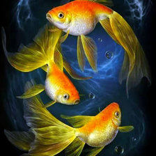 Схема вышивки «Золотые рыбки»