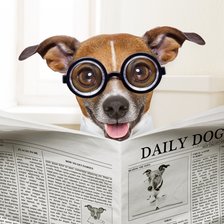 Схема вышивки «№2537663»