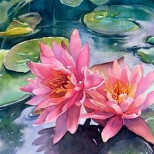 Схема вышивки «Лотосы»