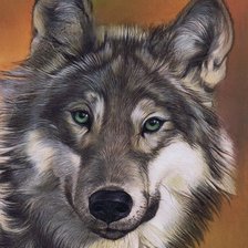 Схема вышивки «серый волк»