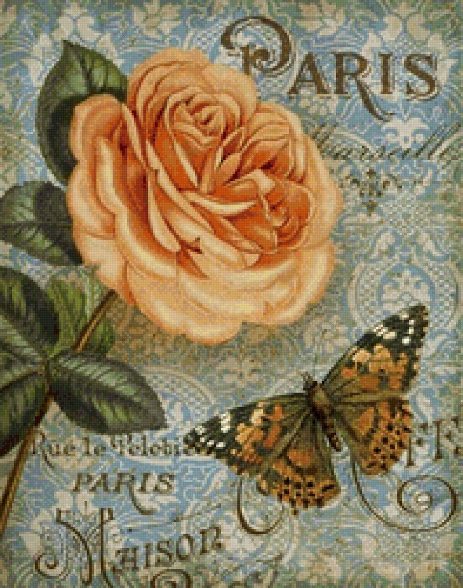 Винтаж - бабочка, цветы, париж, винтаж - предпросмотр