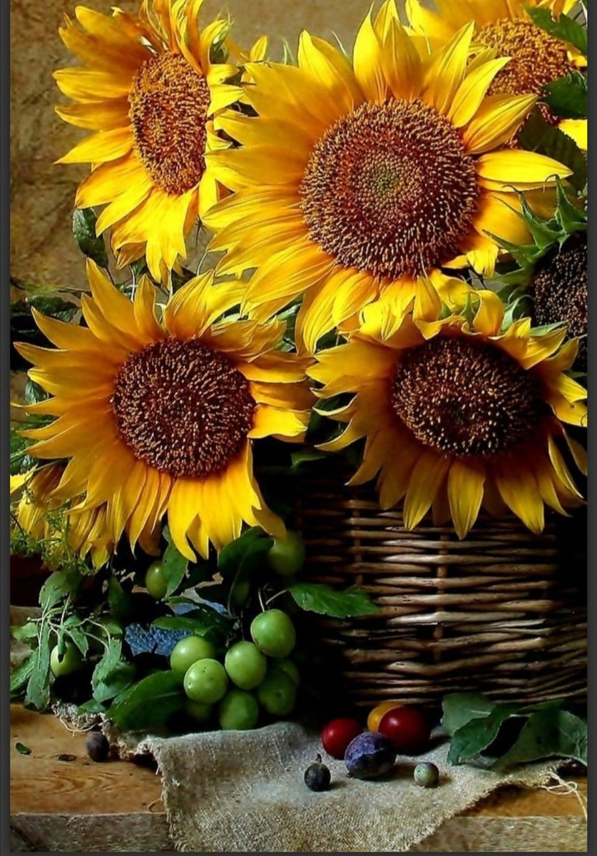 Подсолнух - оригинал