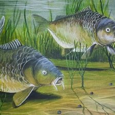 Схема вышивки «№2538146»